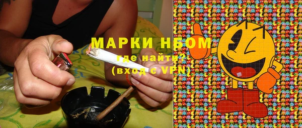 дмт Белокуриха