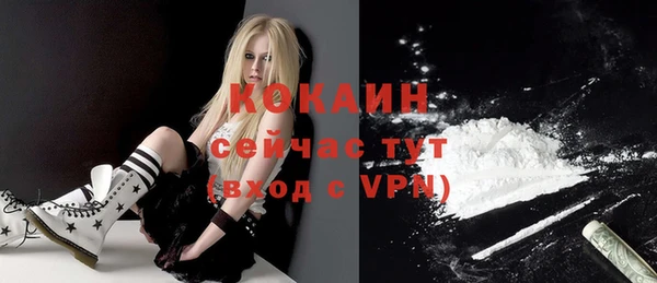 дмт Белокуриха