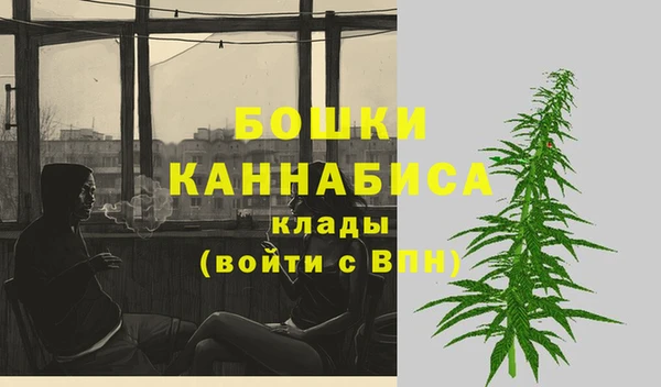 дмт Белокуриха